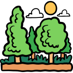 forest